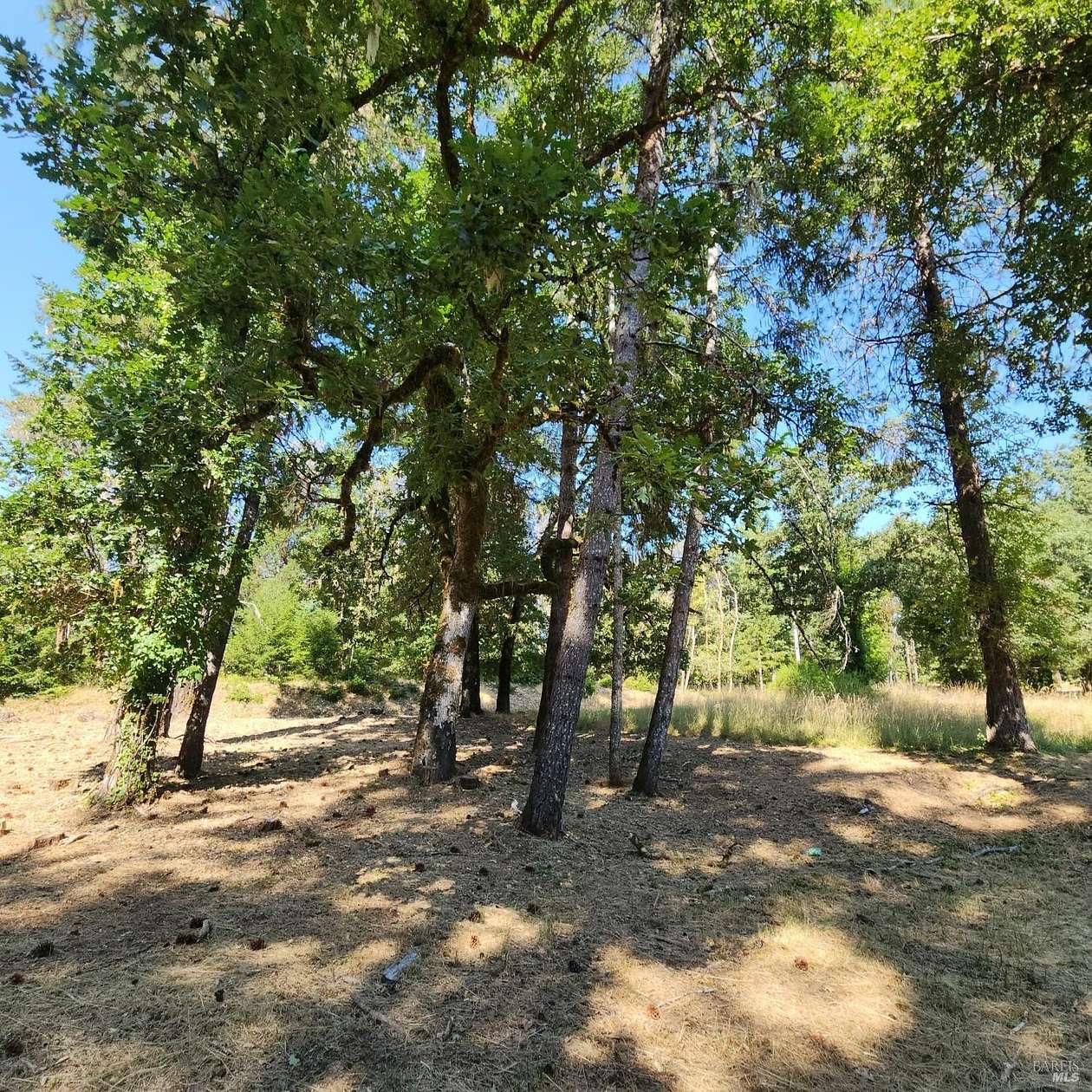 0.27 Acres of Residential Land for Sale in Willits, California