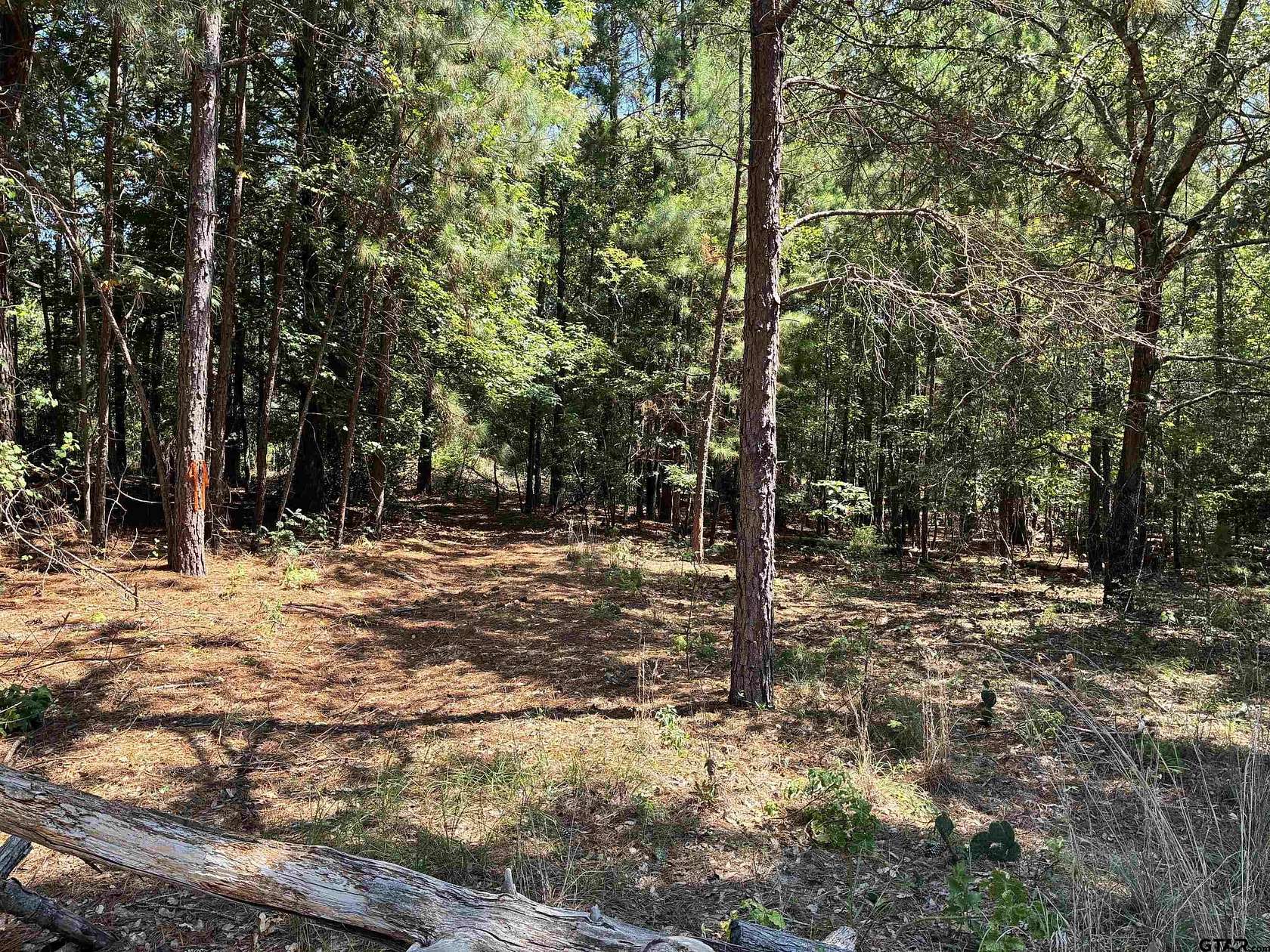 0.34 Acres of Residential Land for Sale in Holly Lake Ranch, Texas