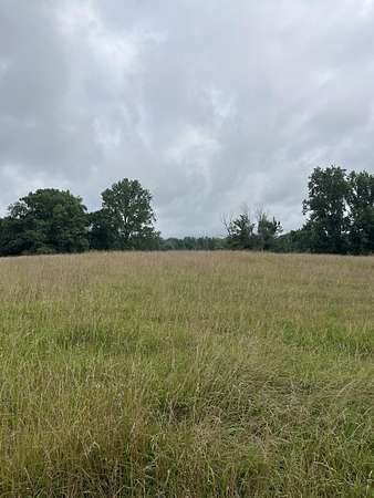 132 Acres of Agricultural Land for Sale in Monroe, Tennessee