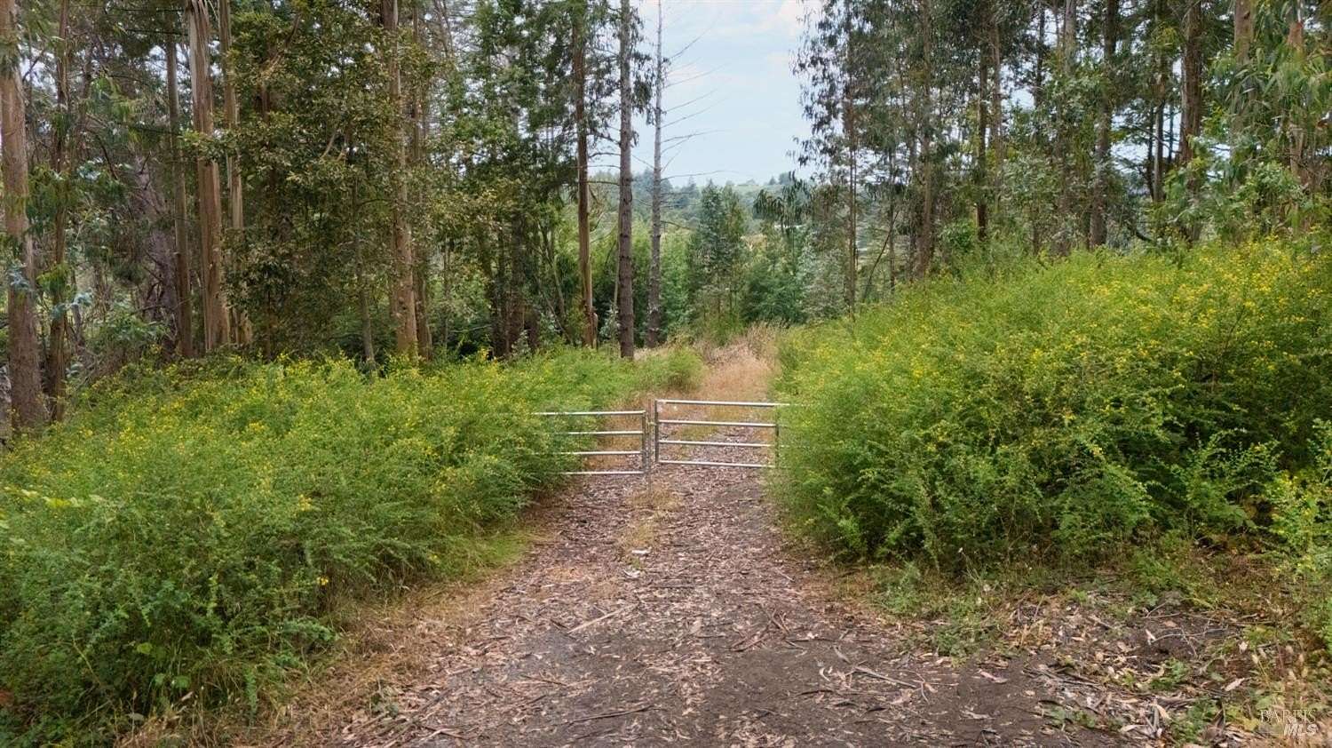 10.9 Acres of Land for Sale in Sebastopol, California