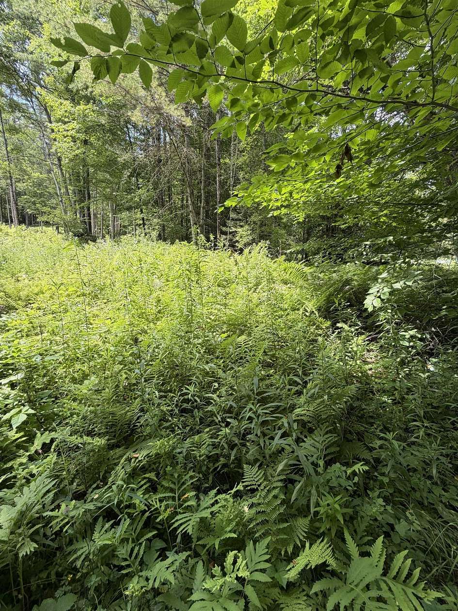 0.42 Acres of Land for Sale in Lisbon, New Hampshire