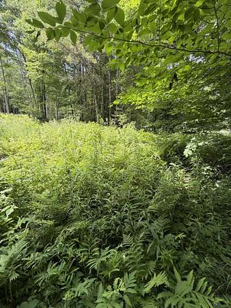 0.42 Acres of Land for Sale in Lisbon, New Hampshire