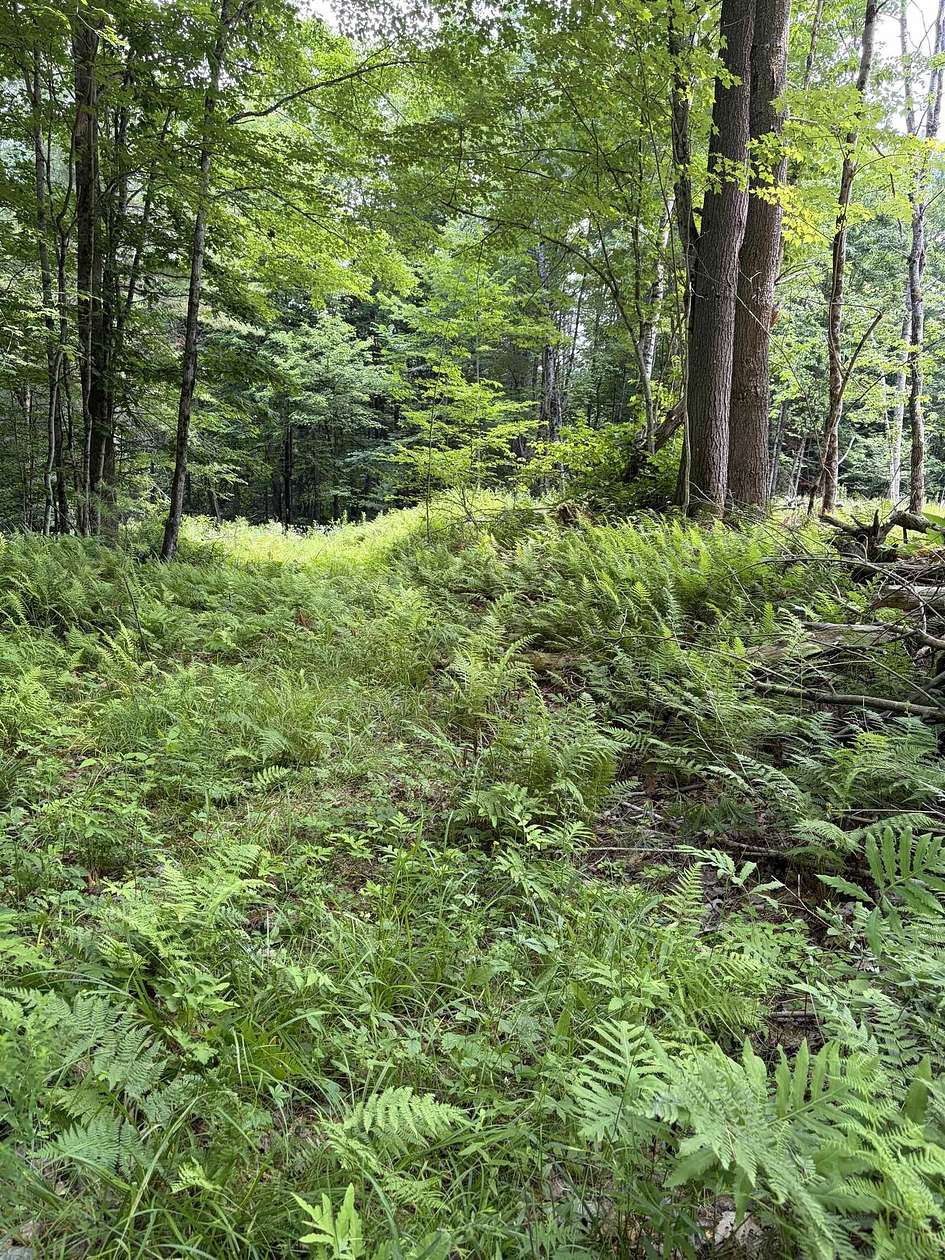 0.96 Acres of Residential Land for Sale in Lisbon, New Hampshire