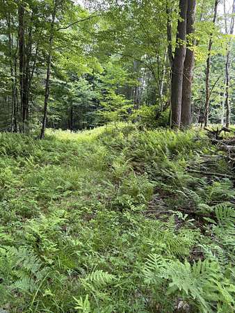 0.96 Acres of Residential Land for Sale in Lisbon, New Hampshire