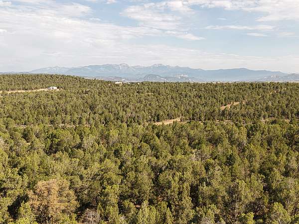 140 Acres of Recreational & Residential Land for Sale in Ignacio, Colorado