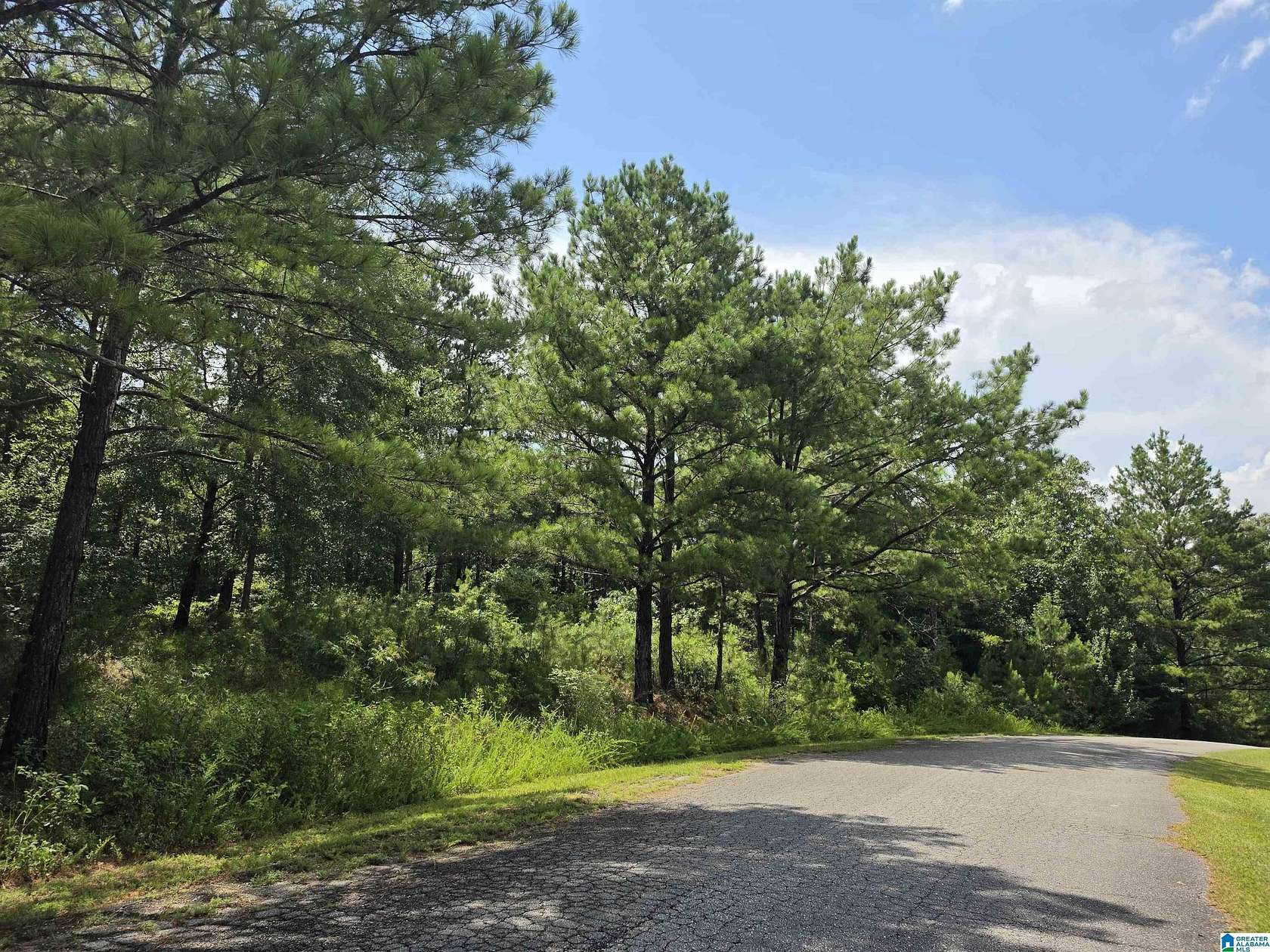 4.46 Acres of Residential Land for Sale in Centreville, Alabama