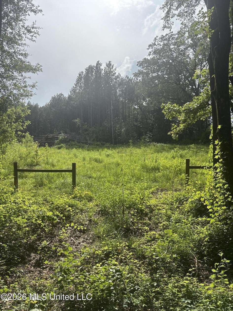 24 Acres of Recreational & Residential Land for Sale in Raymond, Mississippi