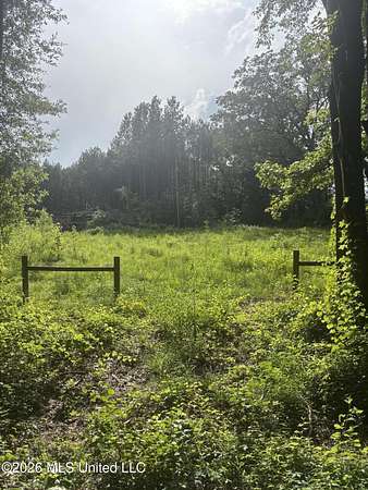 24 Acres of Recreational & Residential Land for Sale in Raymond, Mississippi