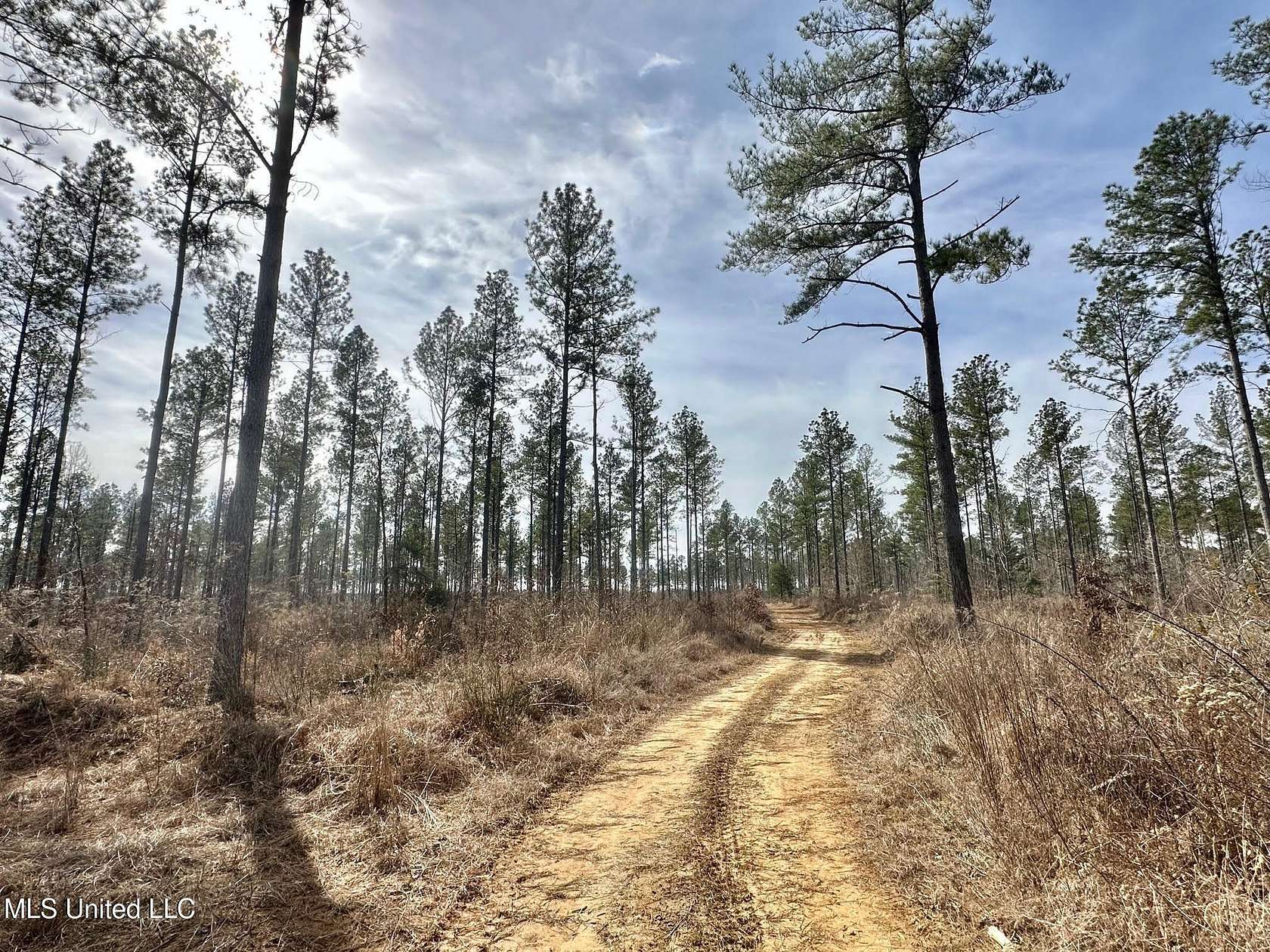 155 Acres of Recreational Land for Sale in Terry, Mississippi