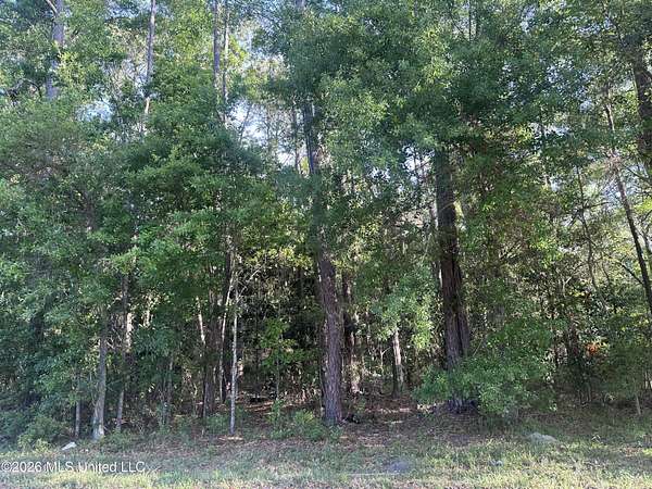 1 Acre of Residential Land for Sale in Moss Point, Mississippi