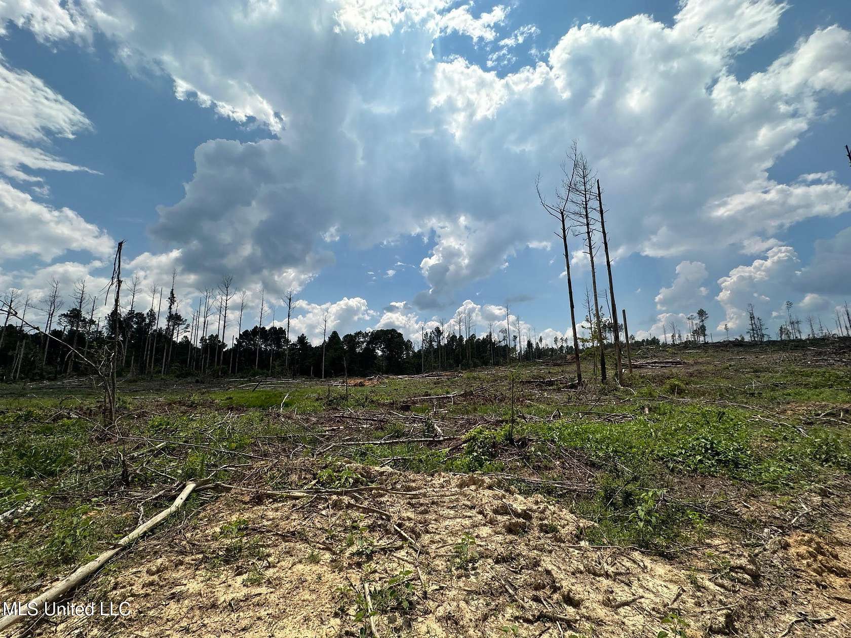 79 Acres of Recreational Land for Sale in Hazlehurst, Mississippi