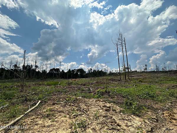 79 Acres of Recreational Land for Sale in Hazlehurst, Mississippi