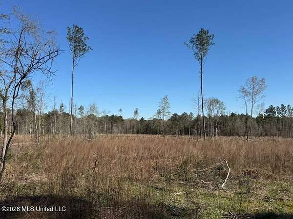 2.5 Acres of Residential Land for Sale in Pisgah, Mississippi