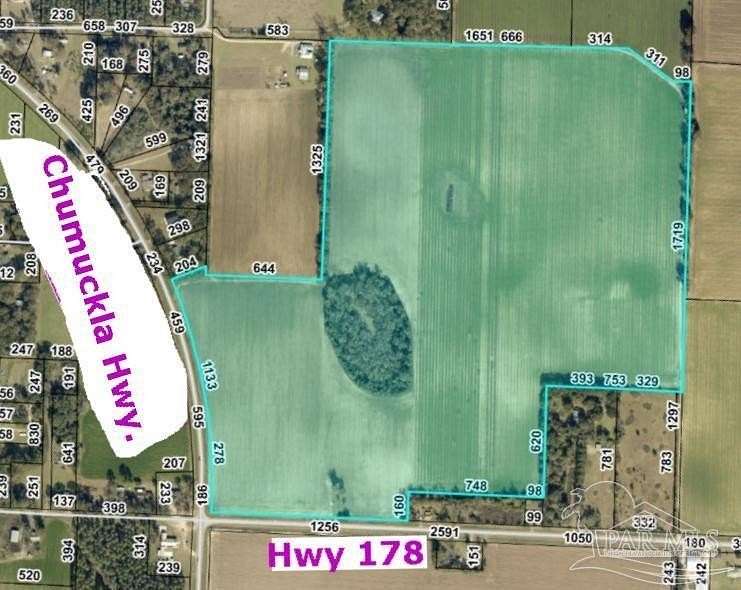 125 Acres of Agricultural Land for Sale in Jay, Florida
