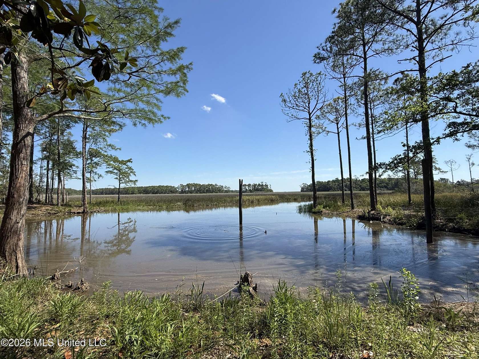 82 Acres of Land for Sale in Gautier, Mississippi