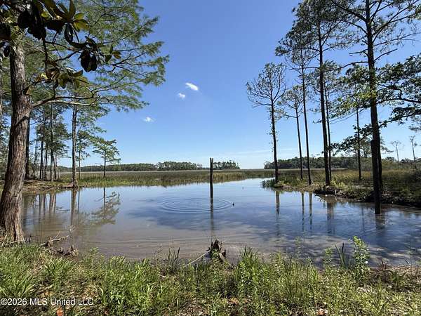 82 Acres of Land for Sale in Gautier, Mississippi