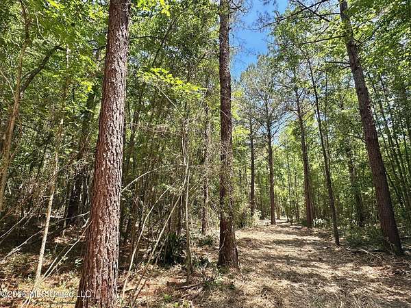 30.3 Acres of Recreational & Residential Land for Sale in Magee, Mississippi