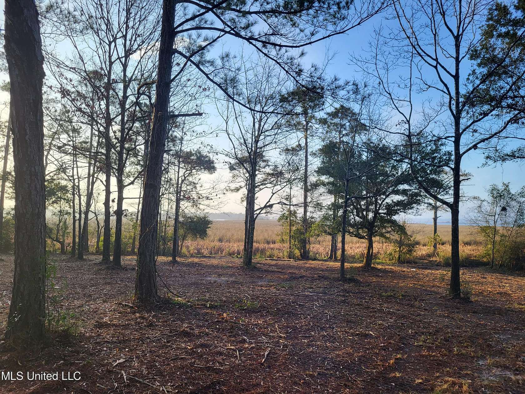 18.5 Acres of Land for Sale in Biloxi, Mississippi