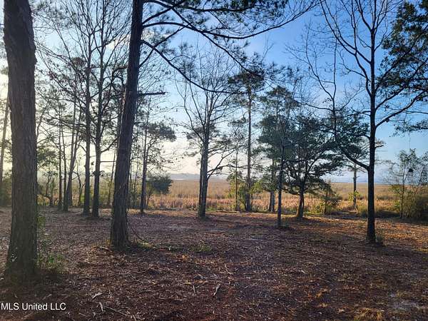 18.5 Acres of Land for Sale in Biloxi, Mississippi