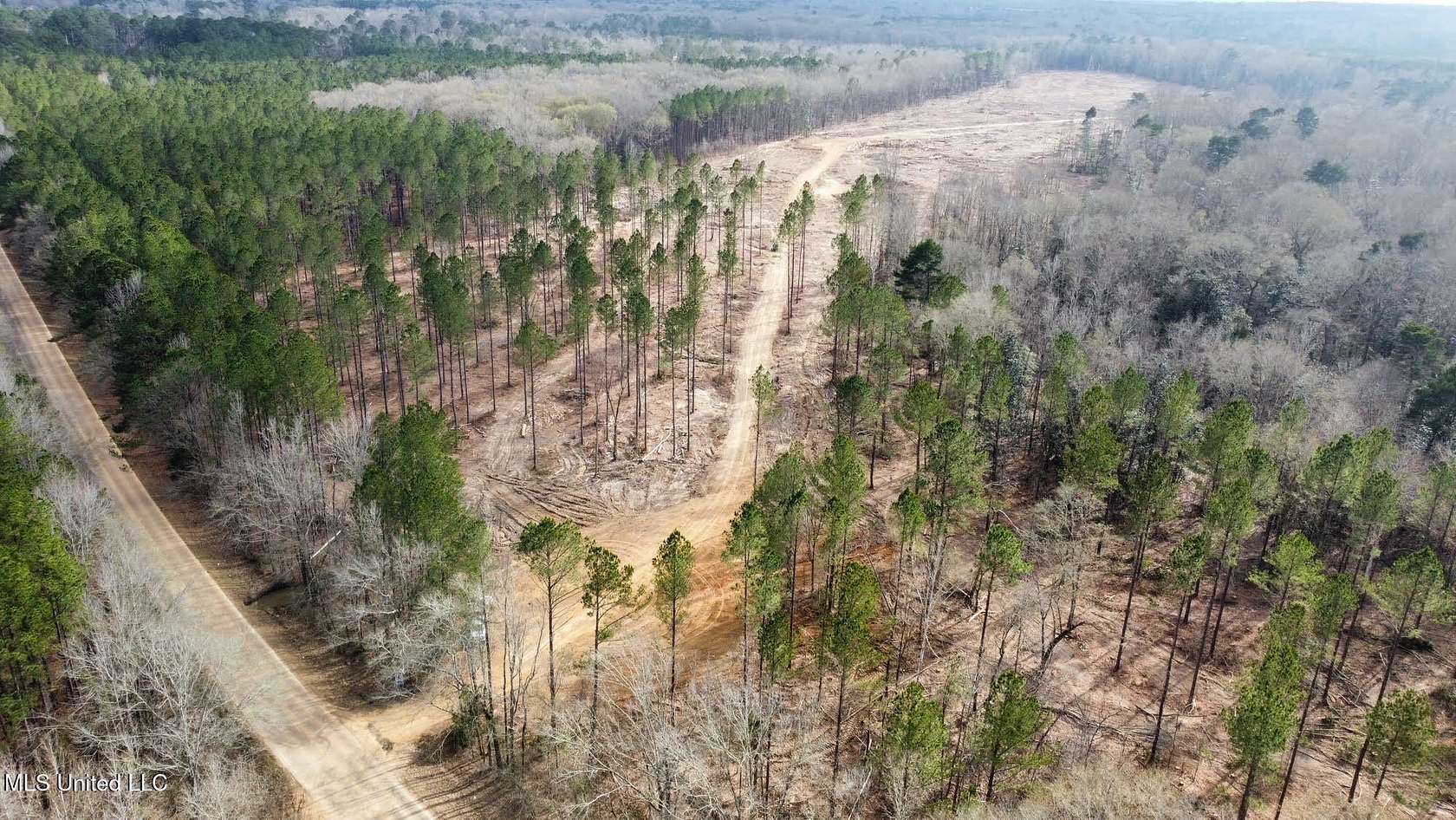 79.6 Acres of Recreational Land for Sale in Florence, Mississippi
