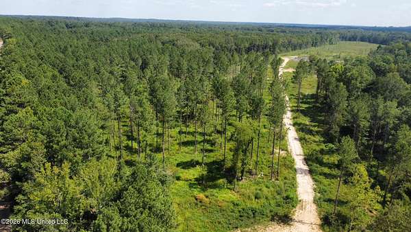 79.6 Acres of Recreational Land for Sale in Florence, Mississippi