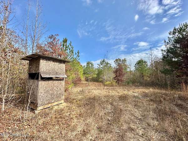 21 Acres of Recreational & Residential Land for Sale in McCool, Mississippi