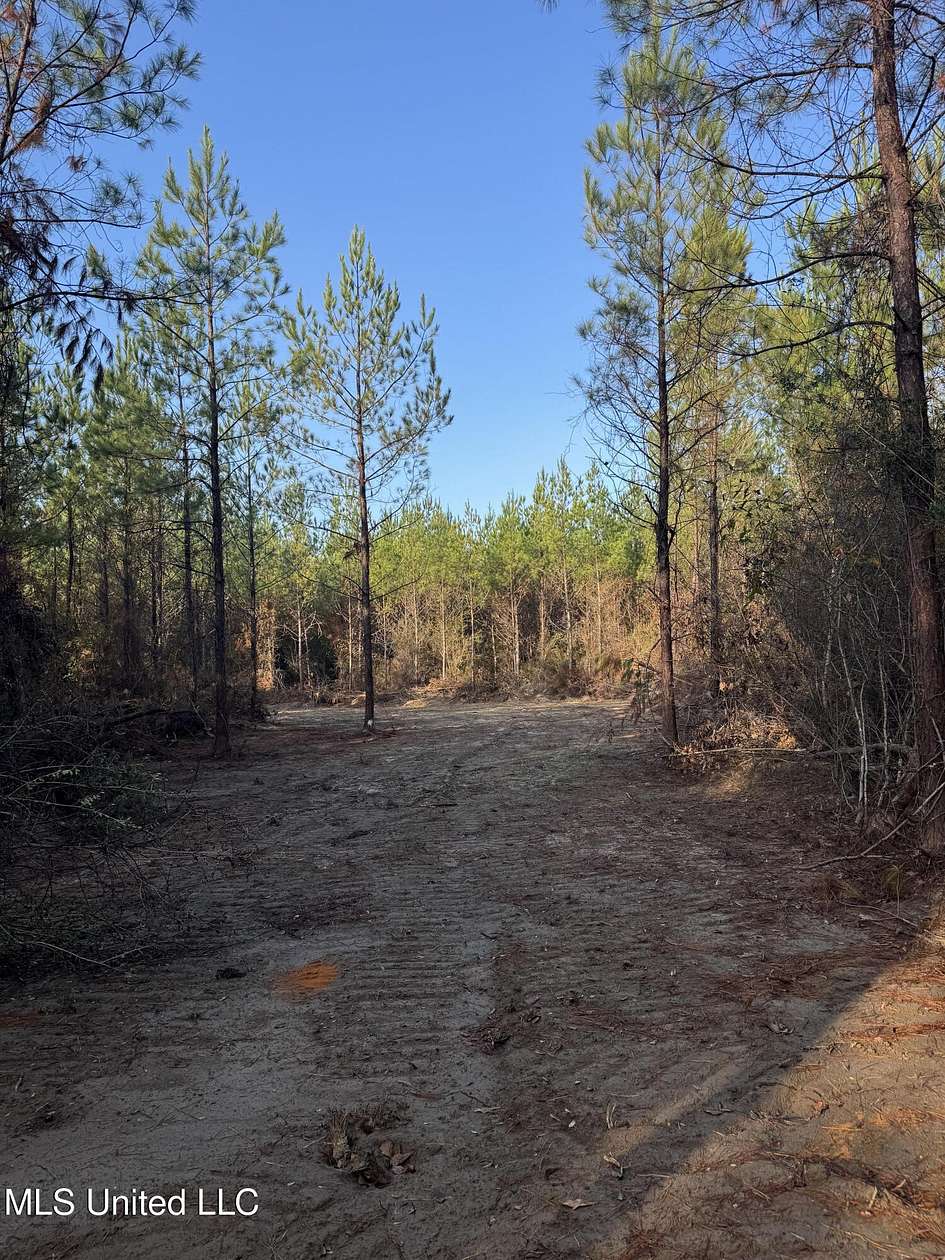 8 Acres of Residential Land for Sale in Perkinston, Mississippi