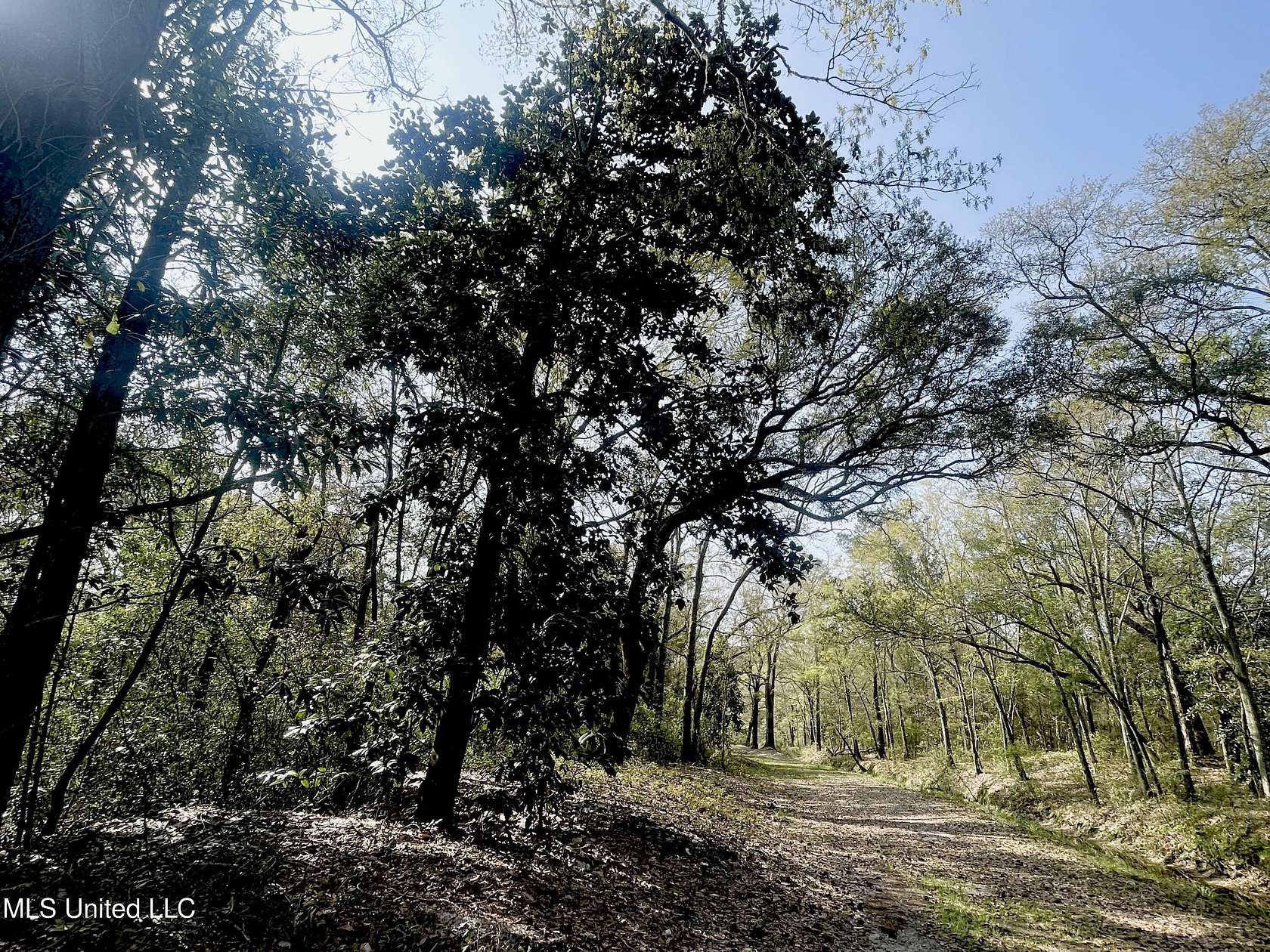 13.9 Acres of Land for Sale in Pascagoula, Mississippi