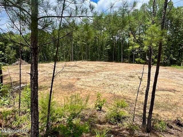 8.2 Acres of Residential Land for Sale in Mendenhall, Mississippi