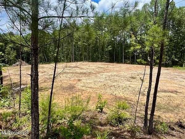 8.2 Acres of Residential Land for Sale in Mendenhall, Mississippi