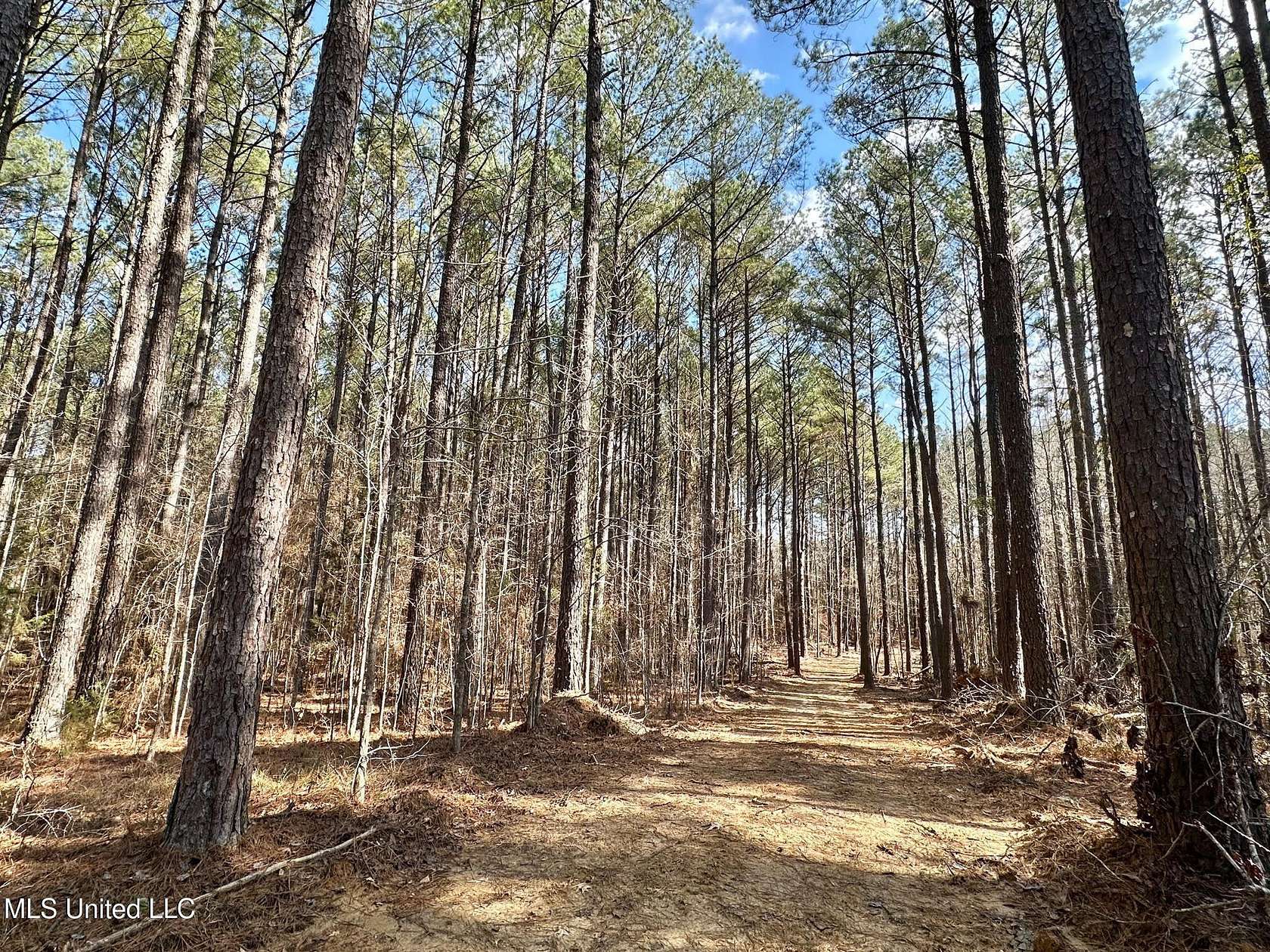 158 Acres of Recreational Land for Sale in Carthage, Mississippi