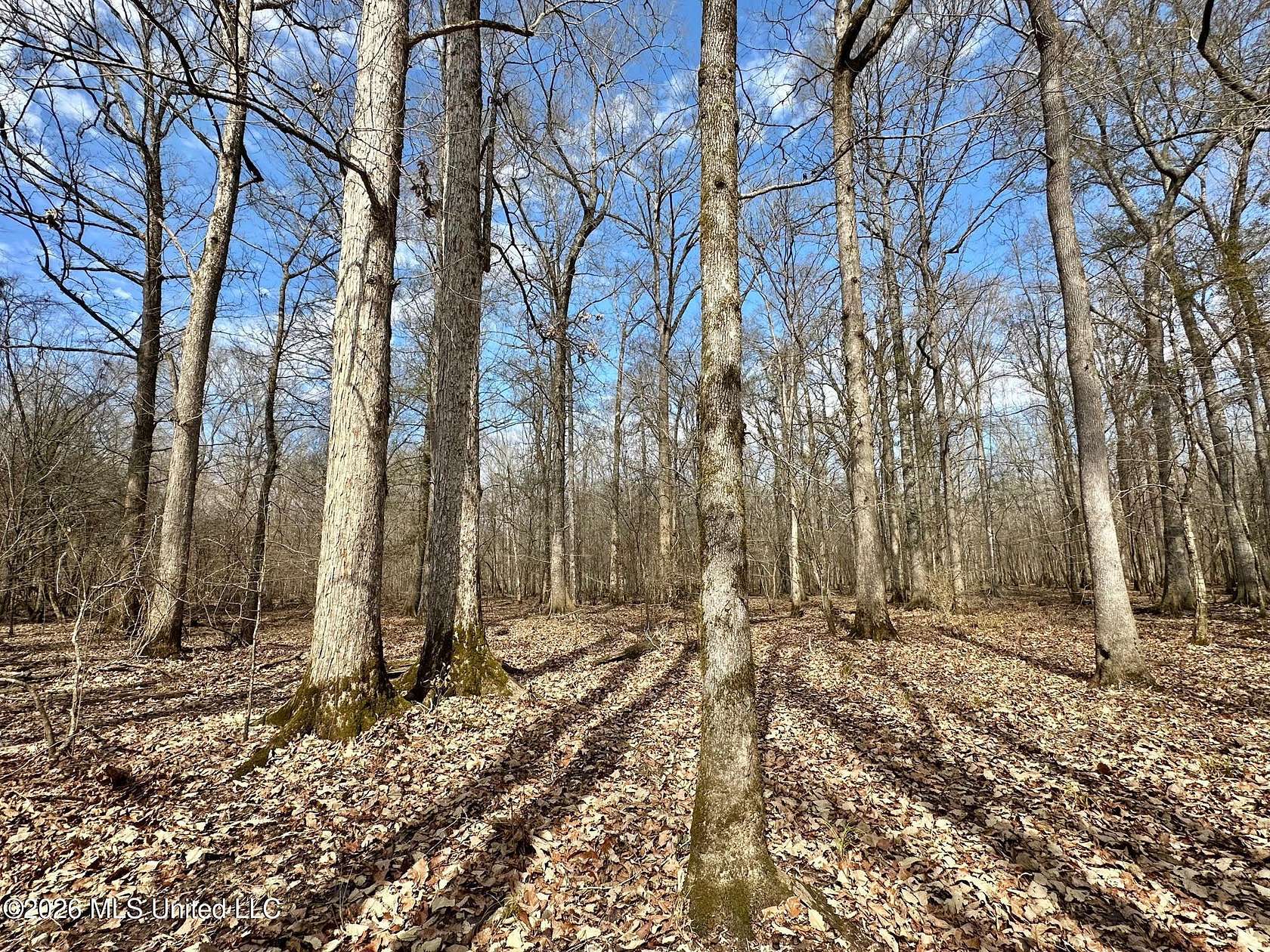 158 Acres of Recreational Land for Sale in Carthage, Mississippi