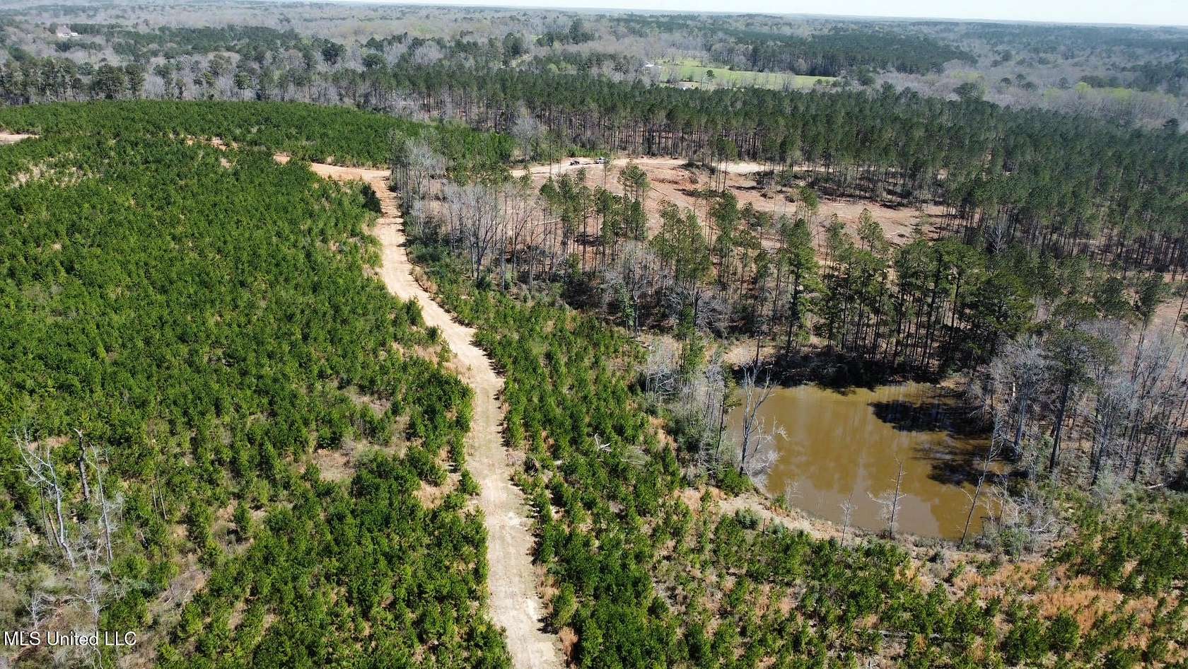 124 Acres of Recreational & Residential Land for Sale in New Hebron, Mississippi