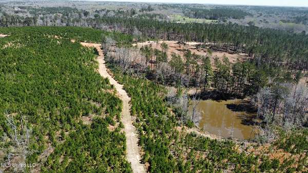 124 Acres of Recreational & Residential Land for Sale in New Hebron, Mississippi