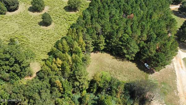 25 Acres of Recreational & Residential Land for Sale in Hickory, Mississippi
