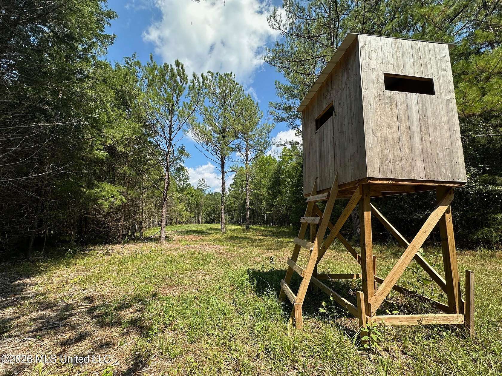 38 Acres of Recreational Land for Sale in Pulaski, Mississippi