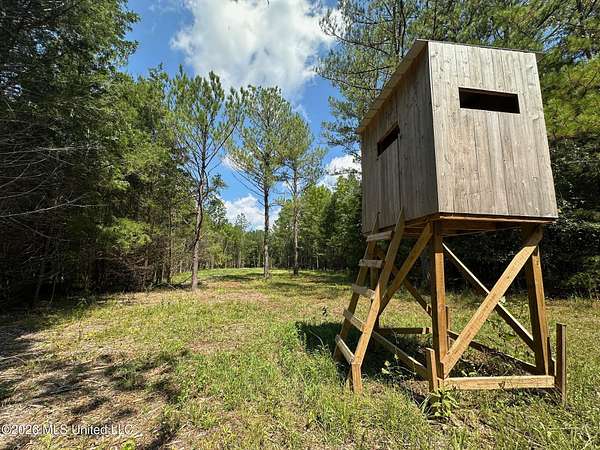 38 Acres of Recreational Land for Sale in Pulaski, Mississippi