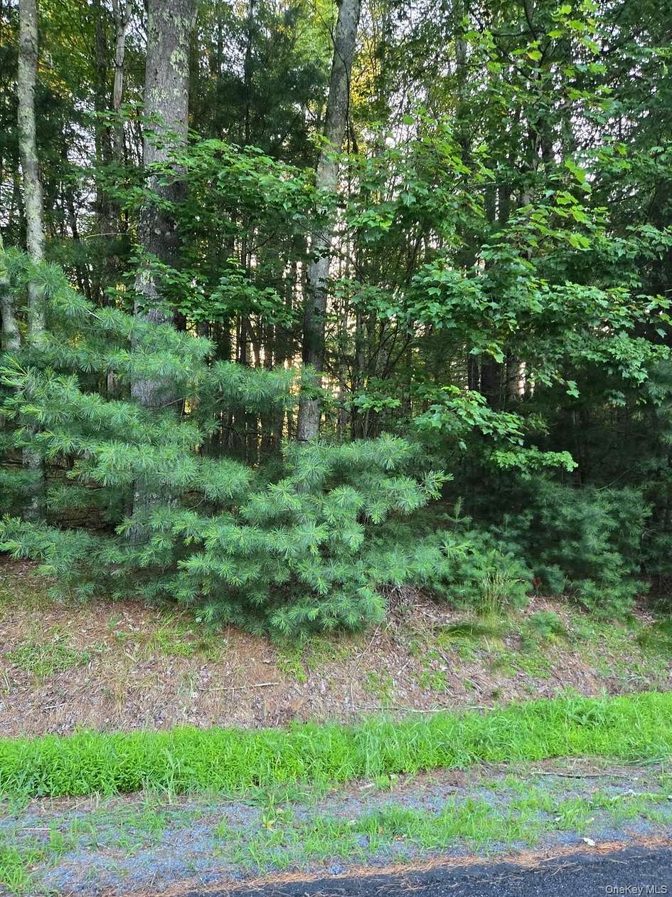 1.39 Acres of Residential Land for Sale in Narrowsburg, New York
