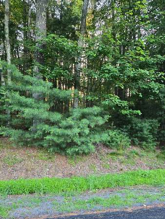 1.39 Acres of Residential Land for Sale in Narrowsburg, New York