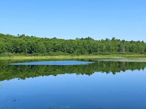 2 Acres of Residential Land for Sale in Orland, Maine