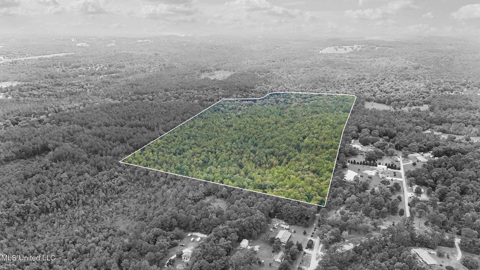 74.8 Acres of Recreational & Residential Land for Sale in Saucier, Mississippi