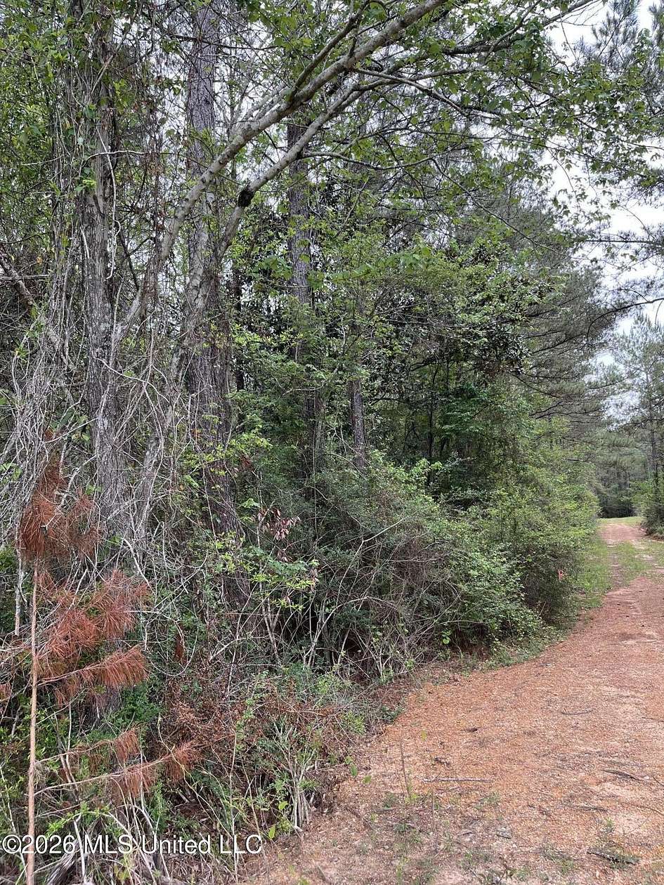 9 Acres of Land for Sale in Brooklyn, Mississippi