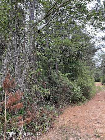 9 Acres of Land for Sale in Brooklyn, Mississippi