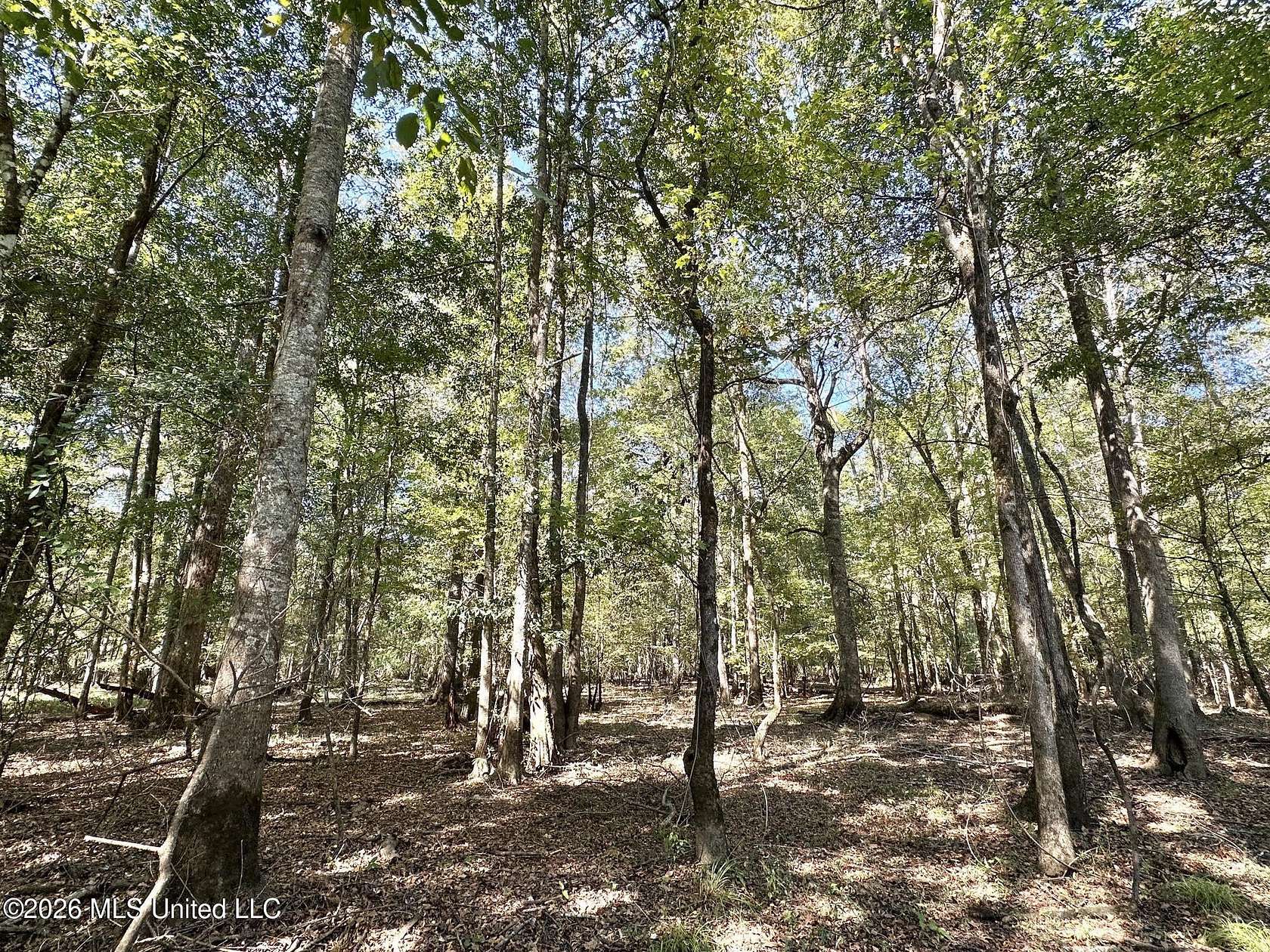 1,526 Acres of Recreational Land for Sale in Carthage, Mississippi