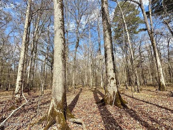 1,646 Acres of Recreational Land for Sale in Carthage, Mississippi