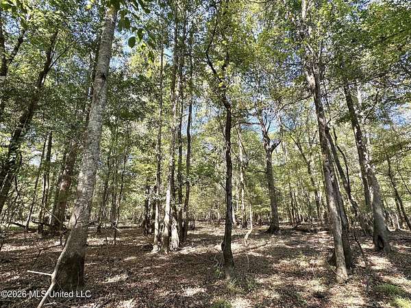 1,526 Acres of Recreational Land for Sale in Carthage, Mississippi