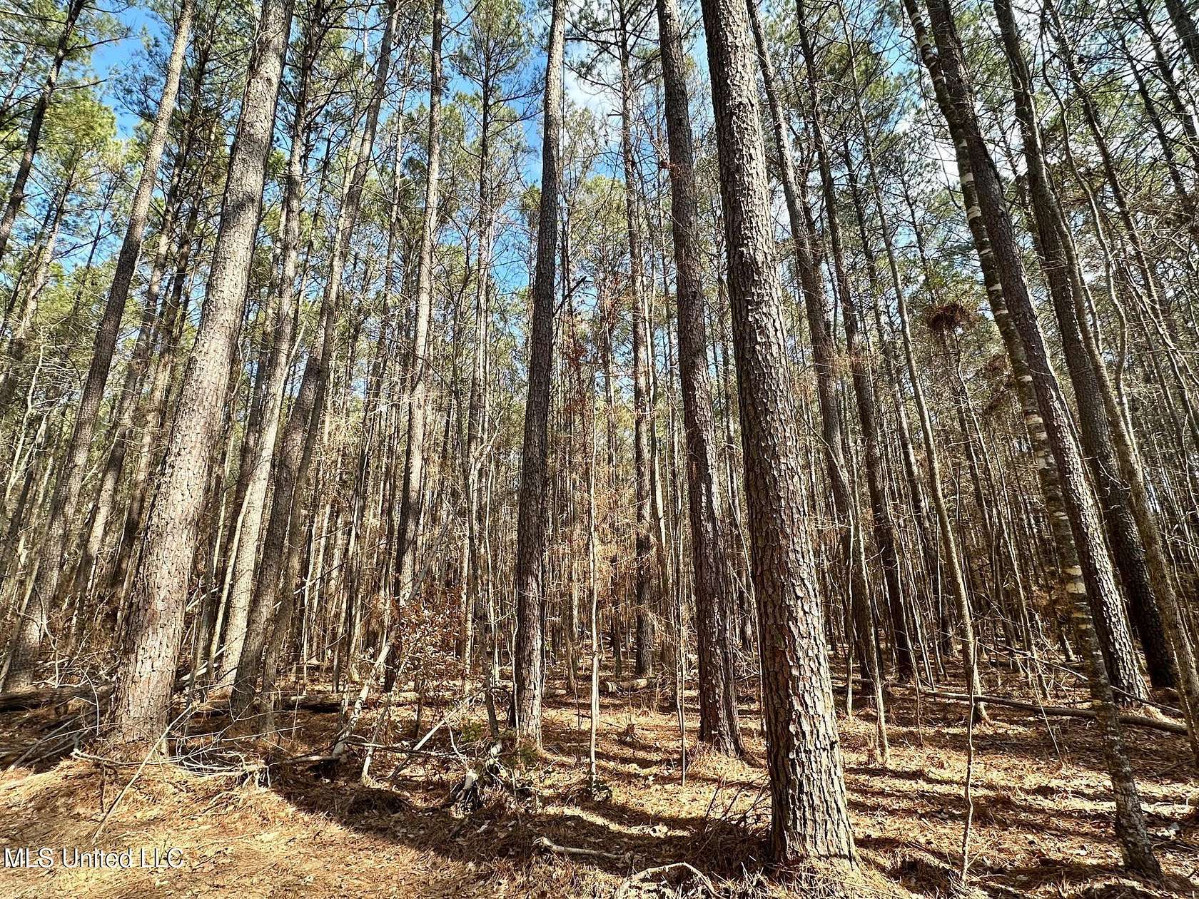 88 Acres of Recreational Land for Sale in Carthage, Mississippi