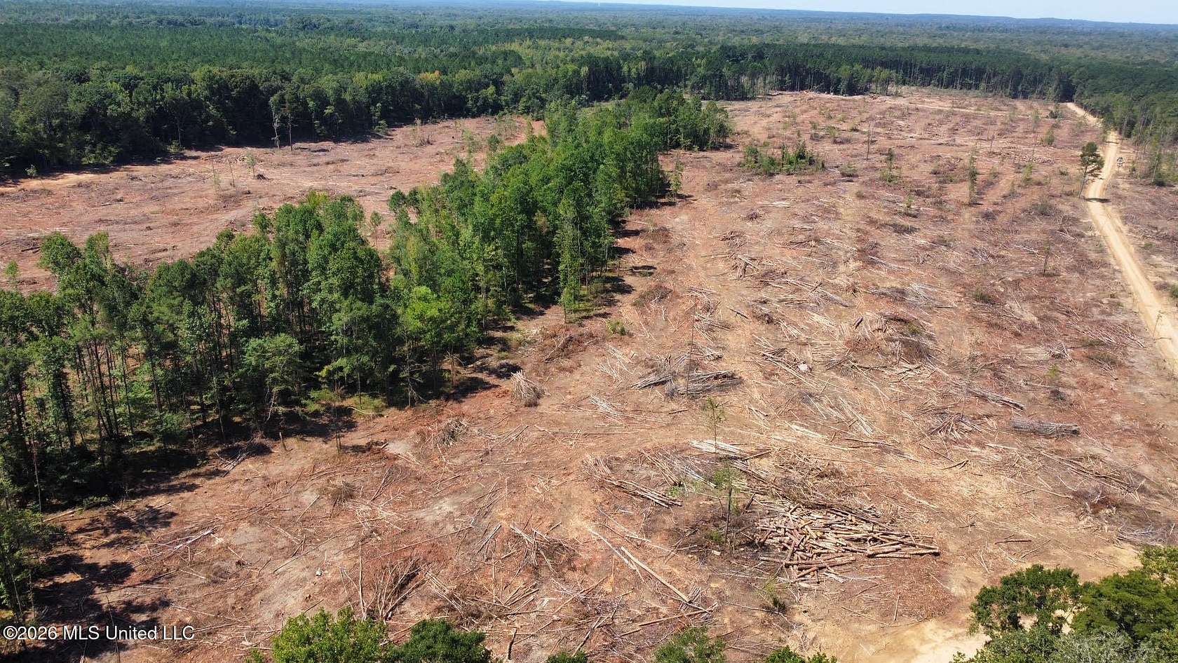 88 Acres of Recreational Land for Sale in Carthage, Mississippi