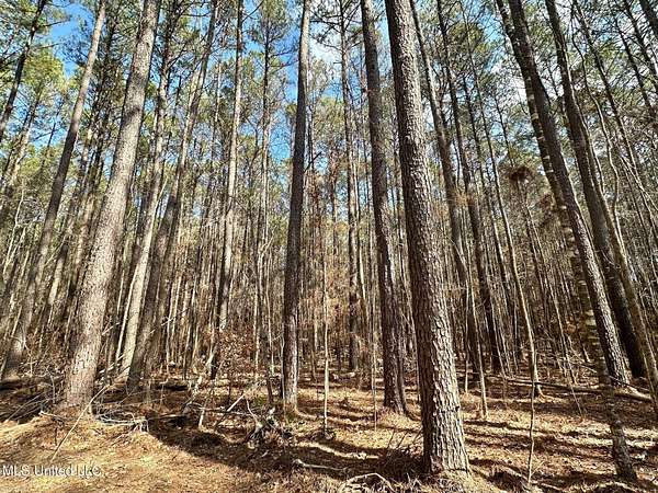 88 Acres of Recreational Land for Sale in Carthage, Mississippi