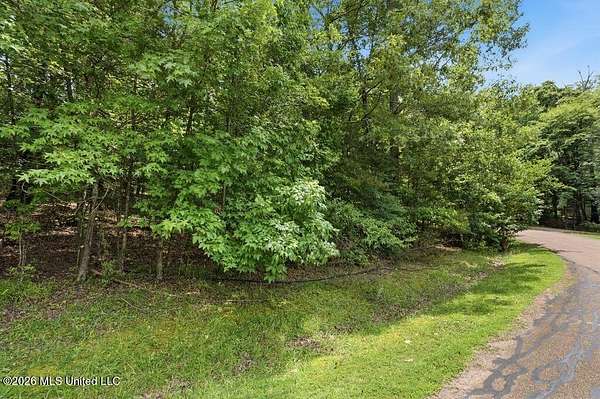 1 Acre of Residential Land for Sale in Madison, Mississippi